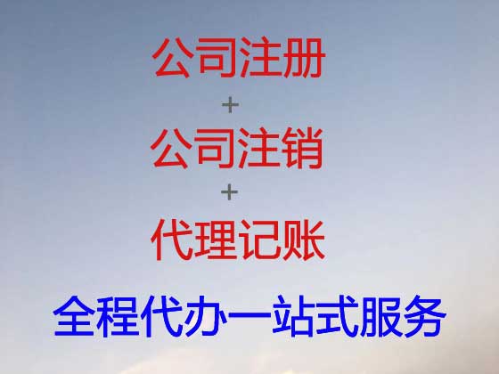 防城港公司个体户注册-财务代理记账